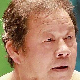 藤波辰爾 飾演 Self