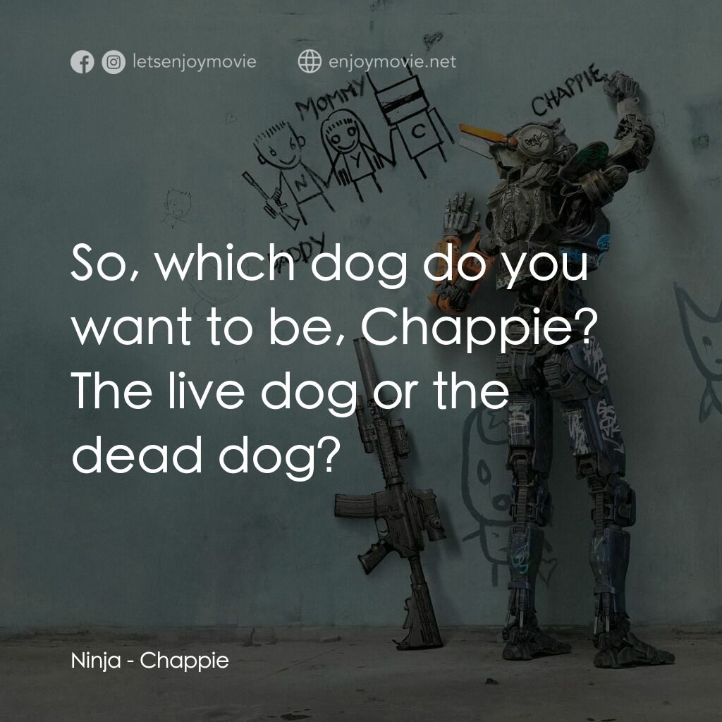 成人世界電影對白：Ninja:  So, which dog do you want to be, Chappie? The live dog or the dead dog?