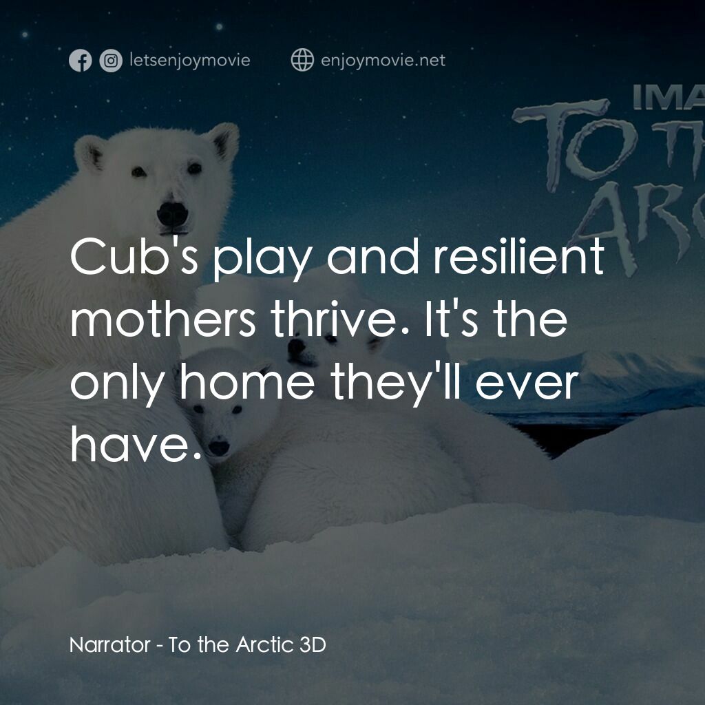 到北極去電影對白：Narrator:  Cub's play and resilient mothers thrive. It's the only home they'll ev