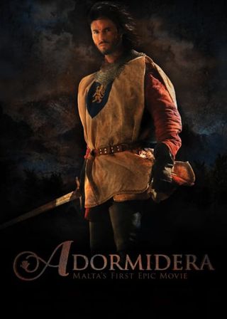 《王者復仇》電影海報