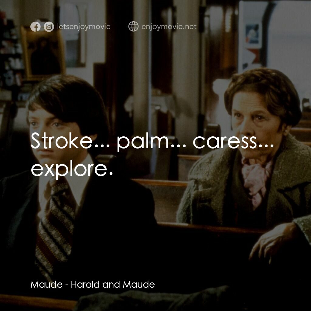 哈洛與茂德電影對白：Maude:  Stroke... palm... caress... explore.