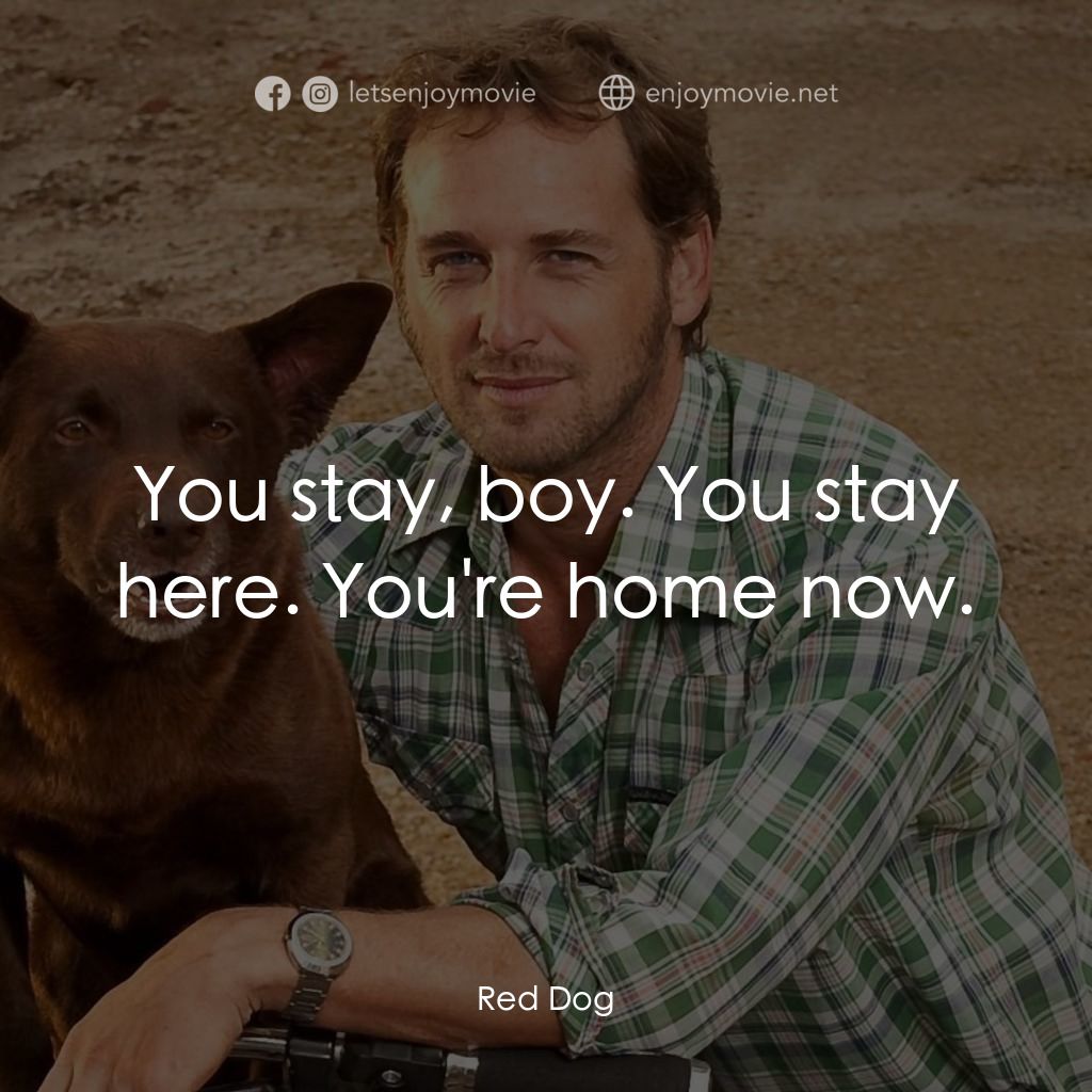 紅狗背包客電影對白：You stay, boy. You stay here. You're home now.