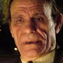 Metwaly Elwan - Soldiers in the Camp演員 飾演