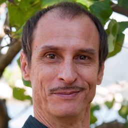 阿拉米斯·特林達德 飾演 Narrador