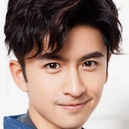 張雲龍 飾演 Wei Ge