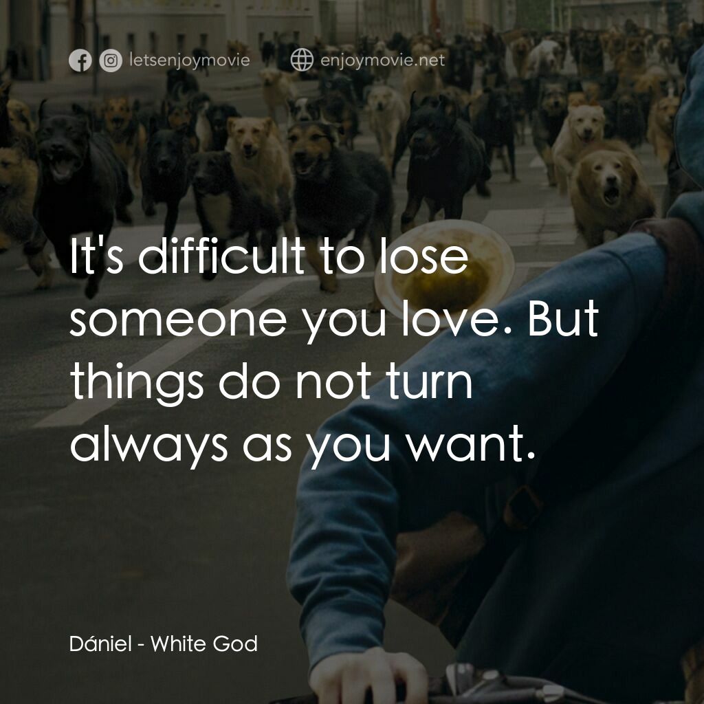 狗眼看人間電影對白：Dániel:  It's difficult to lose someone you love. But things do not turn always a