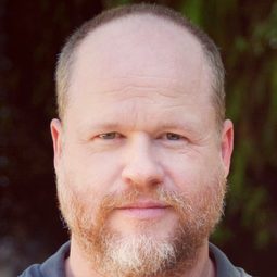 喬斯溫登 - 復仇者聯盟導演