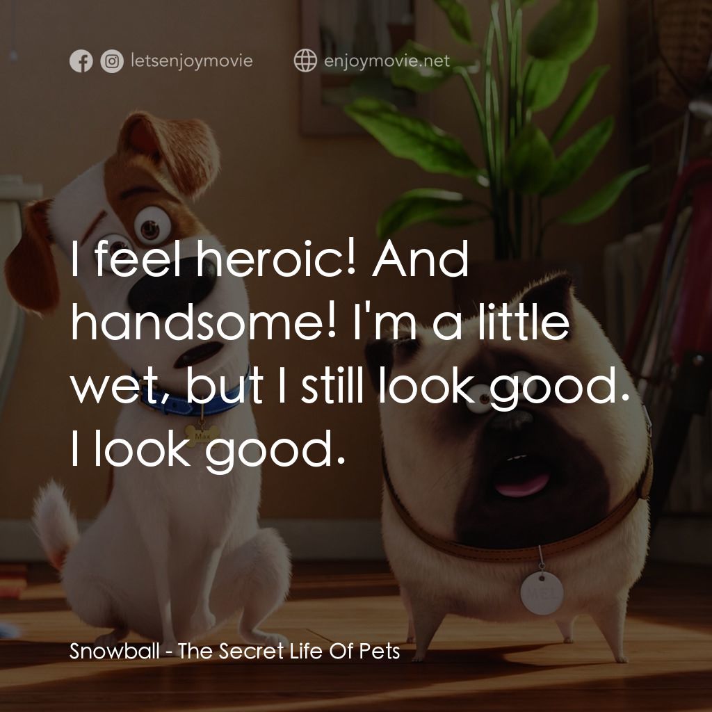 寵物當家經典對白：Snowball: I feel heroic! And handsome! I'm a little wet, but I still look good. I look good.