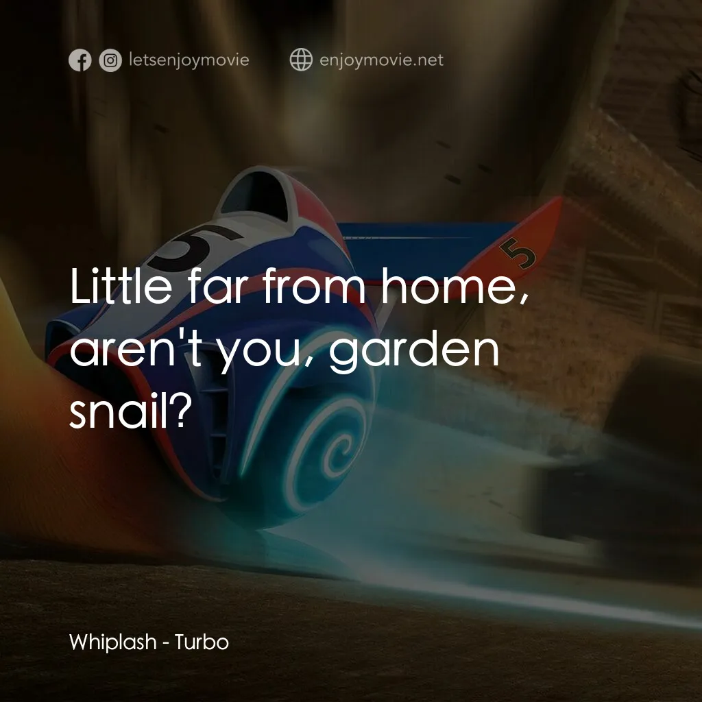渦輪方程式電影對白：Whiplash:  Little far from home, aren't you, garden snail?