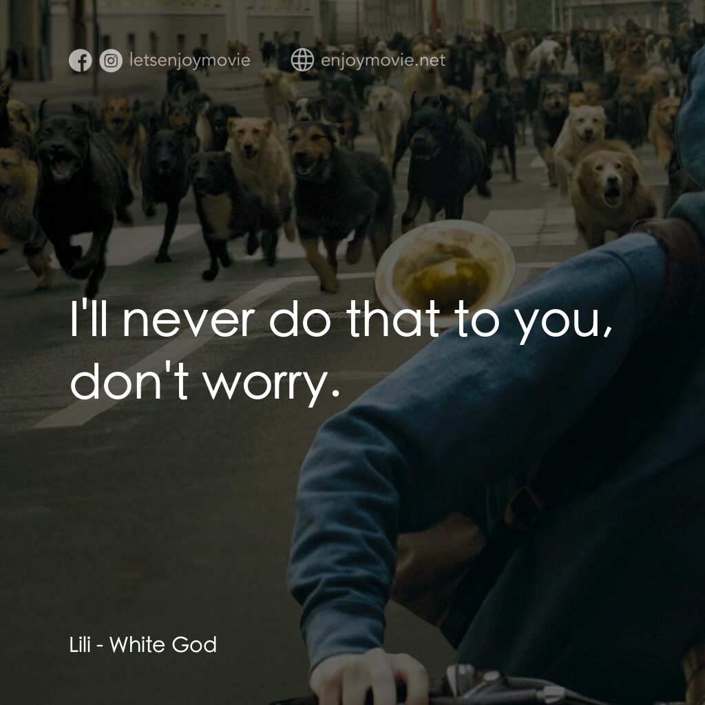 狗眼看人間電影對白：Lili:  I'll never do that to you, don't worry.