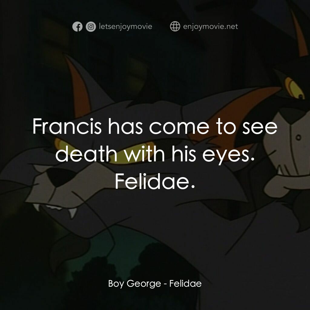 怪貓費力德電影對白：Boy George:  Francis has come to see death with his eyes. Felidae.