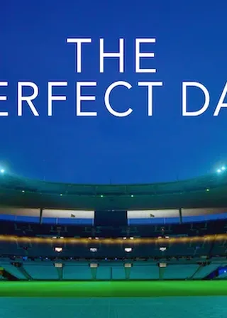 完美的那天 海報