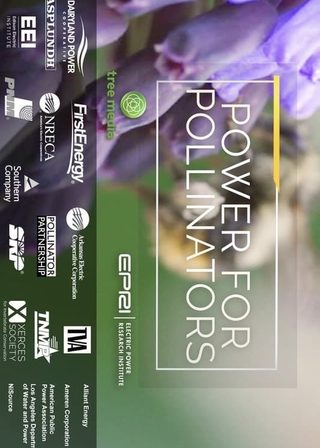 《Power for Pollinators》電影海報