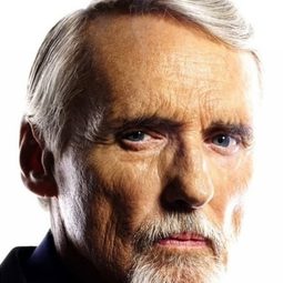 丹尼斯·賀柏 - 黑幫第二代演員 飾演Benny Chains