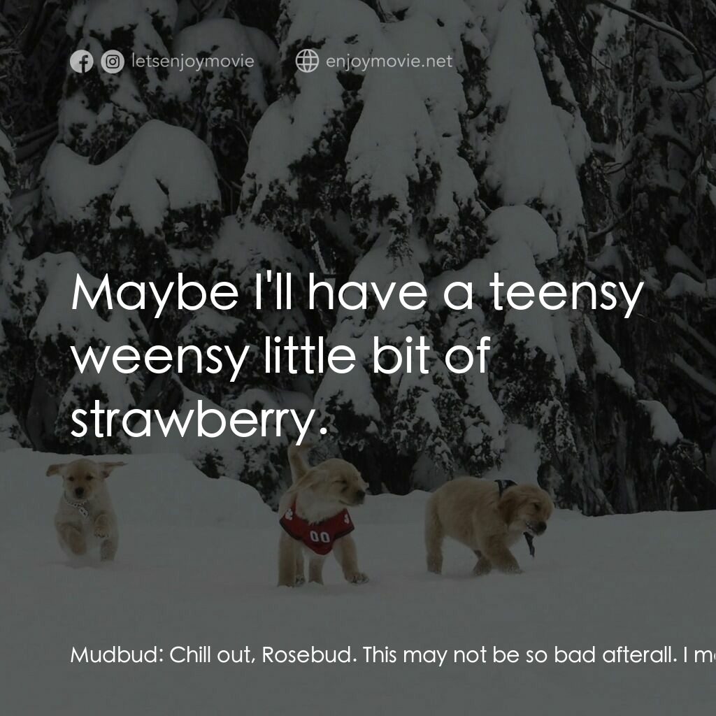 狗狗向前衝電影對白：Mudbud:  Chill out, Rosebud. This may not be so bad afterall. I mean, they've got