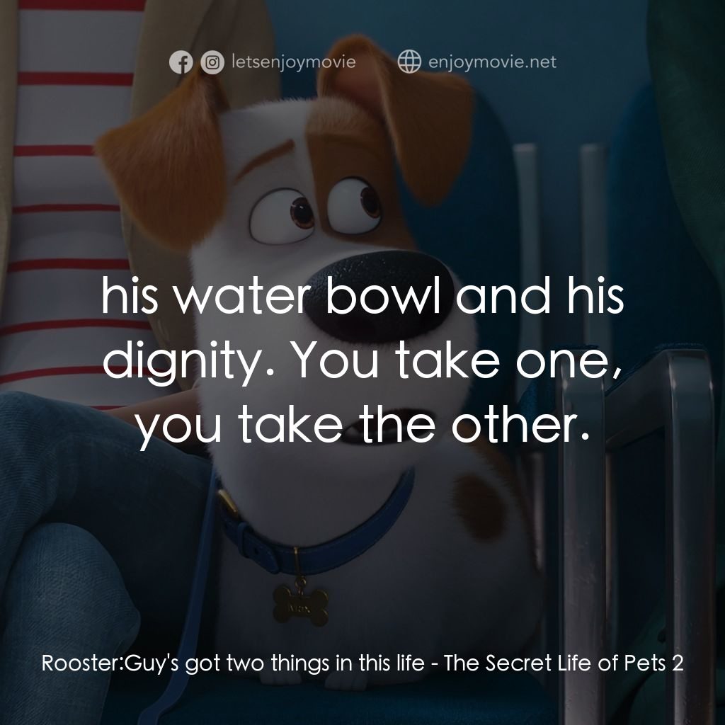 《Pet Pet當家 2》經典台詞：Rooster: Guy's got two things in this life:  h ...