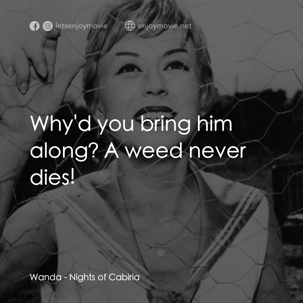 花街春夢電影對白：Wanda: Why'd you bring him along? A weed never dies!