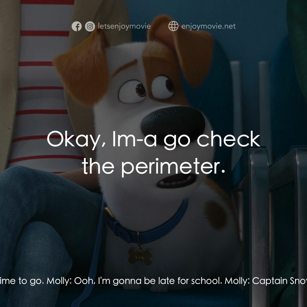 Pet Pet當家 2電影對白：Molly:  I'm calling this meeting of the Superhero Animal Friends to order. Comman