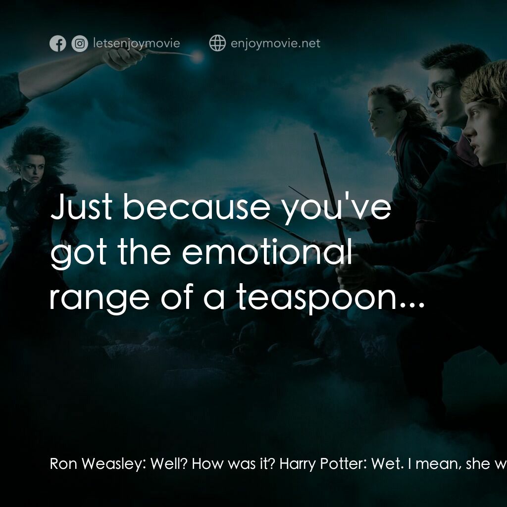 哈利波特：鳳凰會的密令電影對白：Ron Weasley:  Well? How was it? Harry Potter:  Wet. I mean, she was sort of cryin