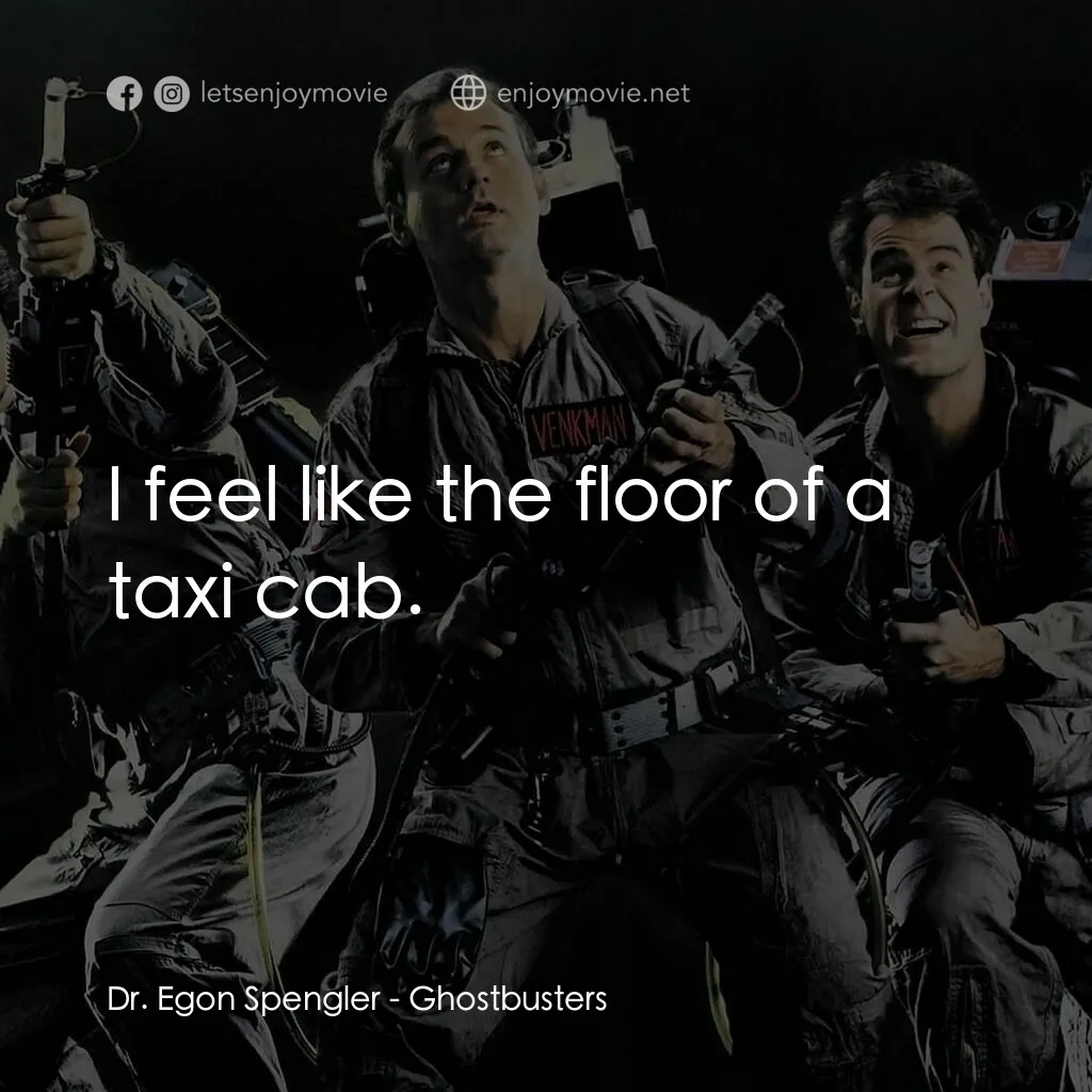 捉鬼敢死隊電影對白：Dr. Egon Spengler:  I feel like the floor of a taxi cab.