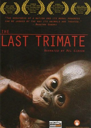 《The Last Trimate》電影海報