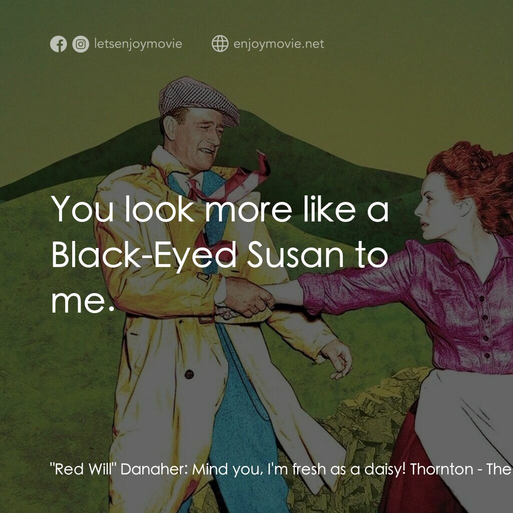 蓬門今始為君開電影對白：