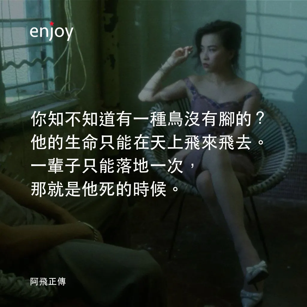 阿飛正傳電影對白：你知不知道有一種鳥沒有腳的?他的生命只能在天上飛來飛去。一輩子只能落地一次，那就是他死的時候。