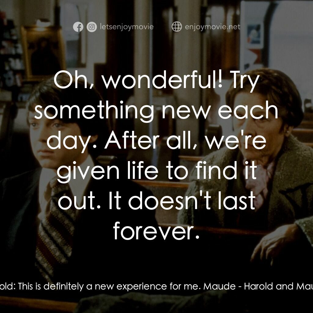 哈洛與茂德電影對白：Harold:  This is definitely a new experience for me. Maude:  Oh, wonderful! Try s
