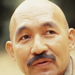 John Fujioka - 魔宮帝國演員 飾演Chief Priest
