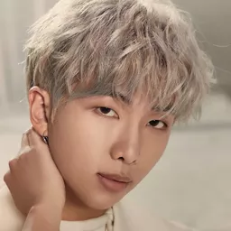 Kim Nam-joon 飾演 Himself