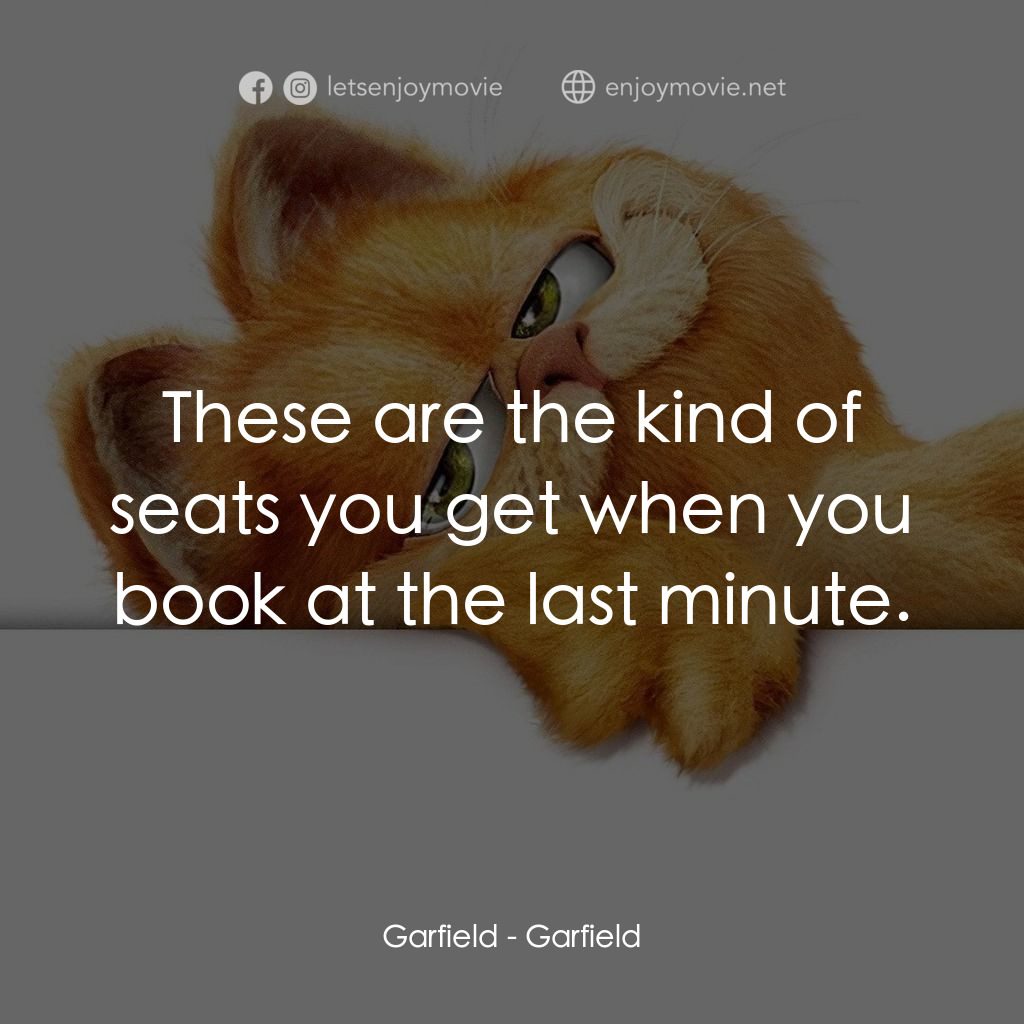 加菲貓電影對白：Garfield: These are the kind of seats you get when you book at the last minute.