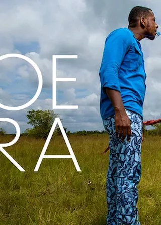 《Aloevera》電影海報