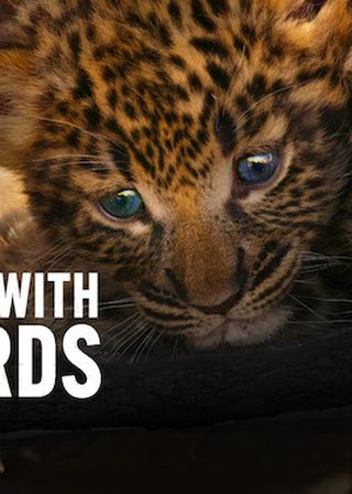 《小豹的驚奇旅程》電影海報