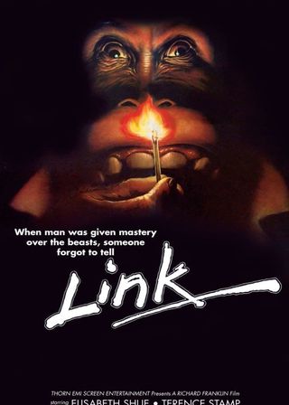 《Link》電影海報