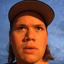 Shawn C. Phillips 飾演 Vlogger