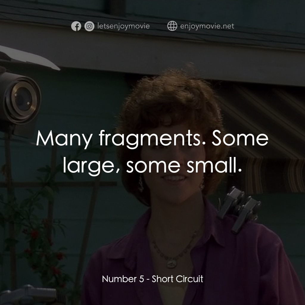 霹靂五號電影對白：Number 5: Many fragments. Some large, some small.