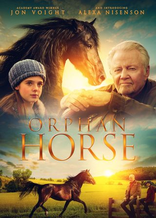 《孤馬》電影海報