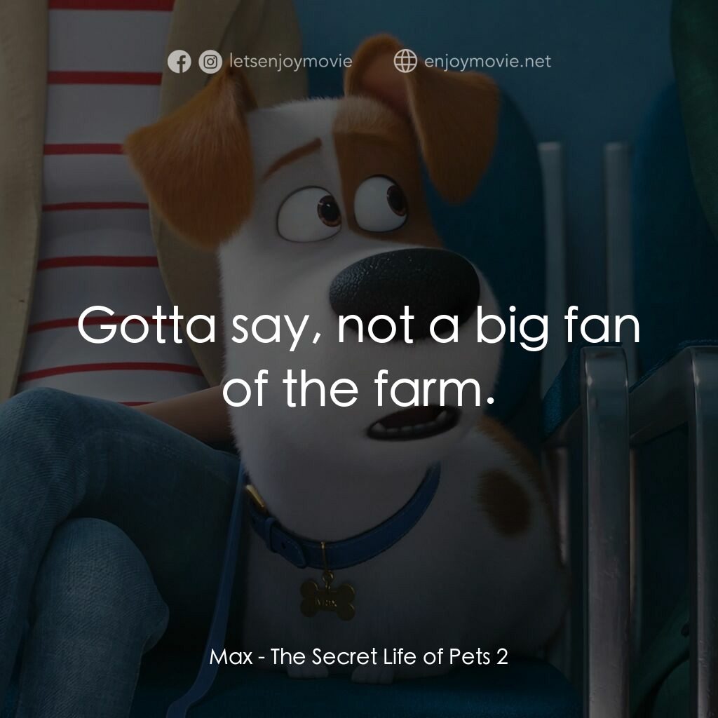 Pet Pet當家 2電影對白：Max:  Gotta say, not a big fan of the farm.