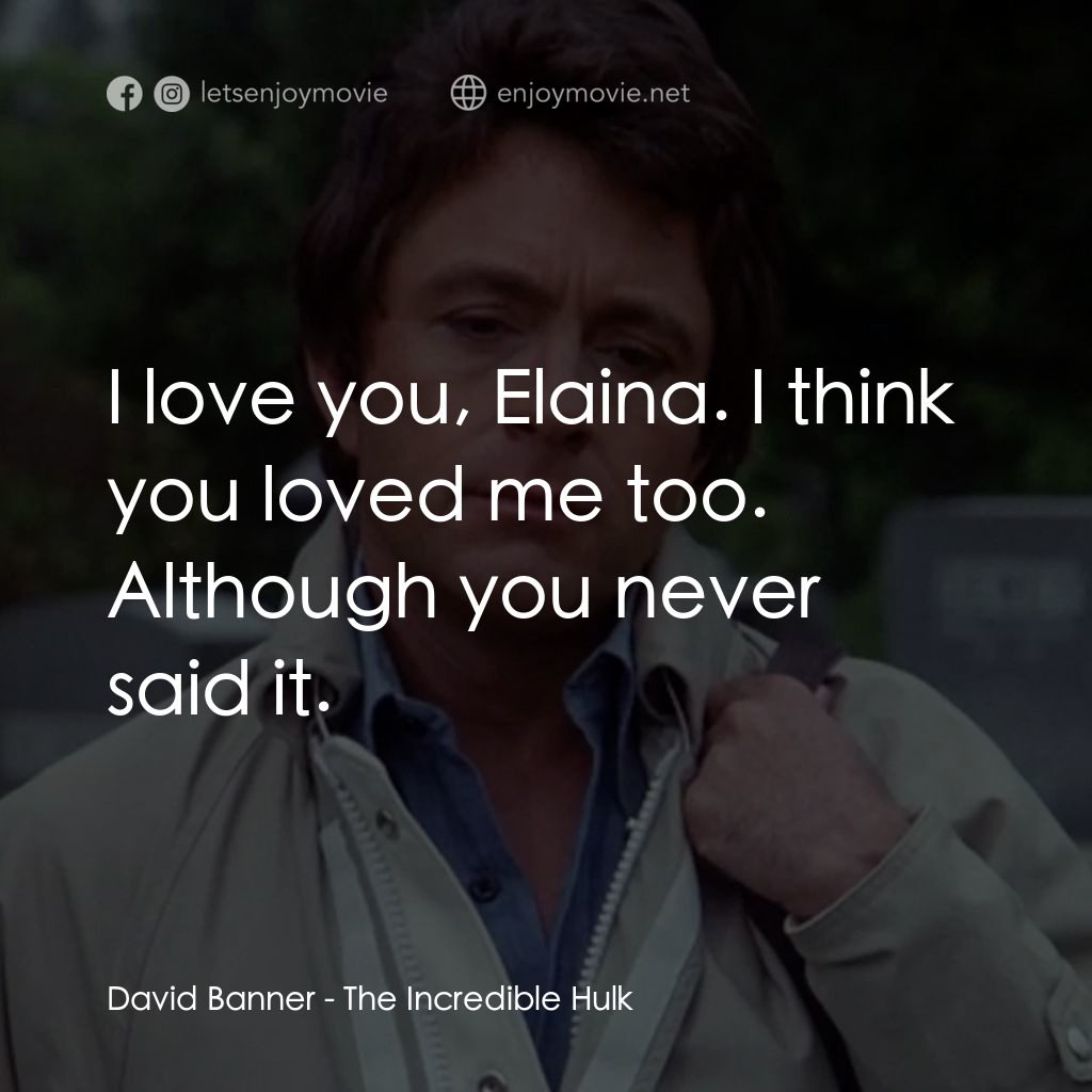 浩克：英雄將起電影對白：David Banner: I love you, Elaina. I think you loved me too. Although you never sa