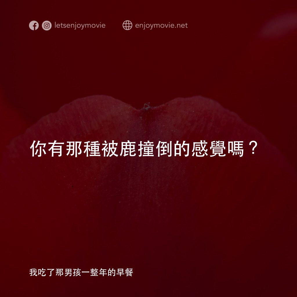 我吃了那男孩一整年的早餐電影對白：你有那種被鹿撞倒的感覺嗎？
