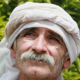 塔里克·克普蒂 - 遺產演員 飾演