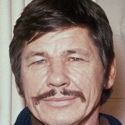 查理士·布朗遜 飾演 Harmonica