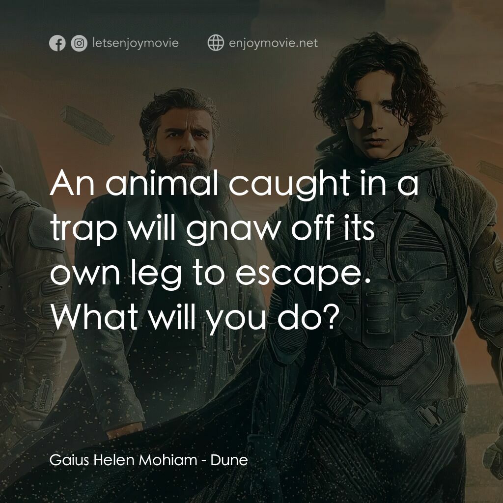 沙丘電影對白：Gaius Helen Mohiam:  An animal caught in a trap will gnaw off its own leg to esca