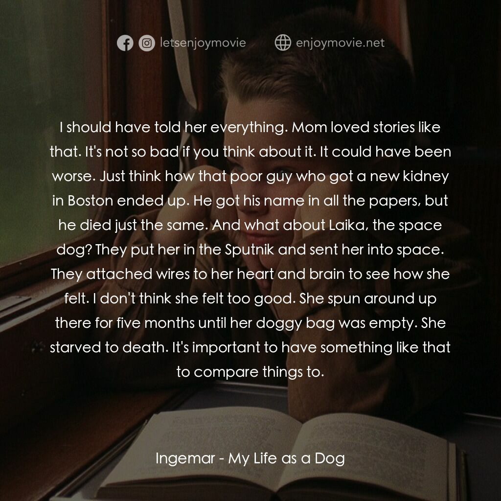 狗臉的歲月電影對白：Ingemar:  I should have told her everything. Mom loved stories like that. It's no