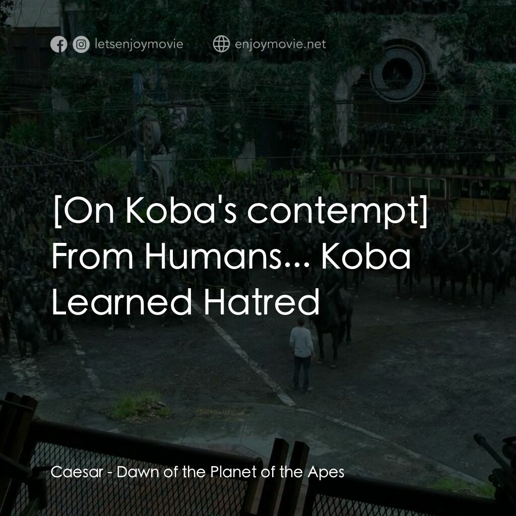 猩球崛起：黎明的進擊電影對白：Caesar:  From Humans... Koba Learned Hatred