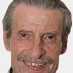 Mehyeddine El Karra 飾演 Abdo