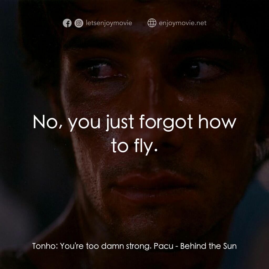 太陽背後電影對白：Tonho:  You're too damn strong. Pacu:  No, you just forgot how to fly.