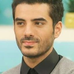 Adeel Husain 飾演 Hammad Farooqui