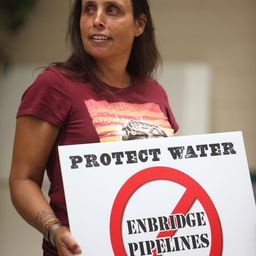 Winona LaDuke 飾演 Self