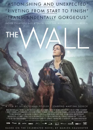 《隱牆》電影海報